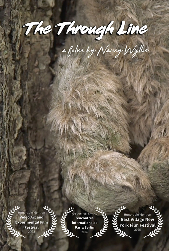 Nancy Wyllie Short Documentaries HD