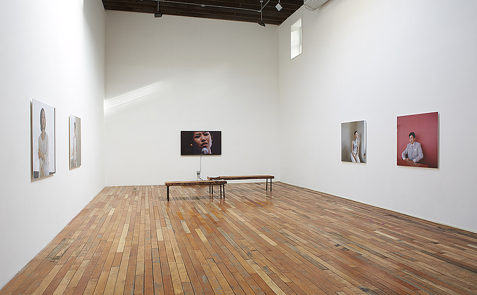 Installation view of Homo Sentimentalis at the 2013 solo exhibition at Show Room Gallery, New York, US Homo Sentimentalis