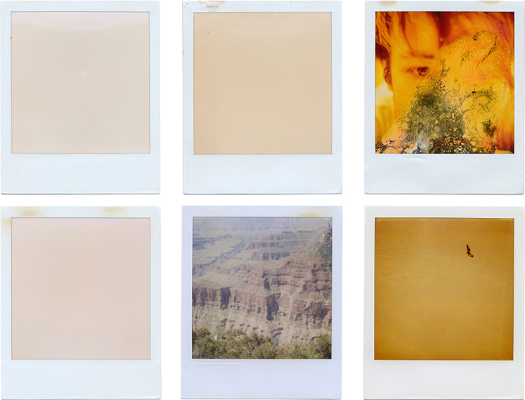  Groups digital print of polaroid collage