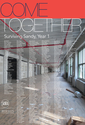 Surviving Sandy, Year 1