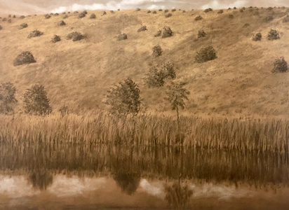  Tim Daly 4/16-4/30/20 Brown paper drawing, charcoal and pastel