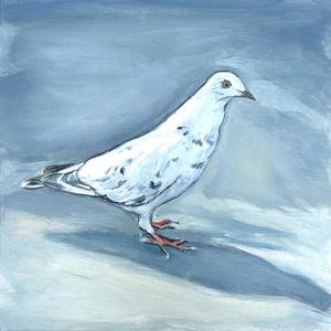 Palette Online ArtSpace Lynda D'Amico: For The Love of Pigeons Oil on wood