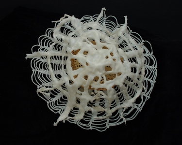 Pamala Crabb 3-D Sculpture Wax and kozo fiber