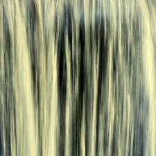 digital photo-based 
