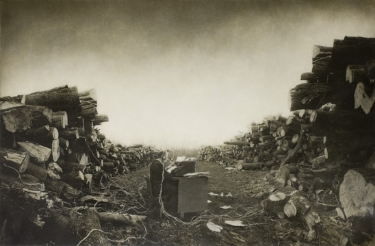 Shana and Robert  ParkeHarrison Kingdom 