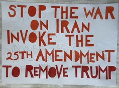 Patricia Dahlman Protest Signs 