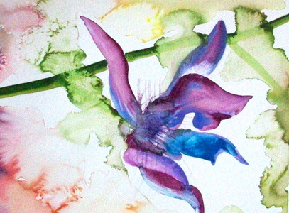 Patricia Rockwood Works on Paper: Archive Watercolor