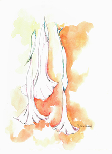 Patricia Rockwood Works on Paper: 2014-2015 Ink, watercolor