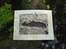 Peter L. Johnson Water Prints 
