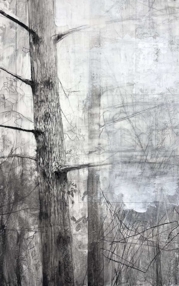 Peter Roux drawings charcoal, gesso on mylar