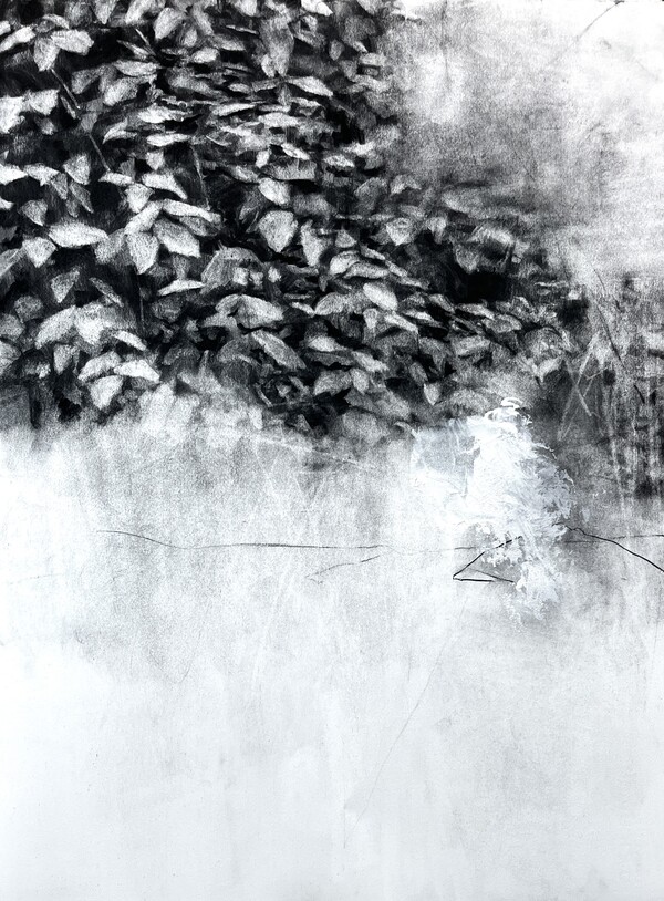 Peter Roux drawings charcoal on paper with gesso