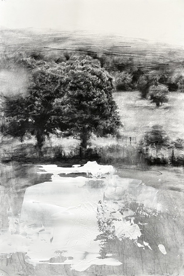 Peter Roux drawings charcoal, gesso on paper