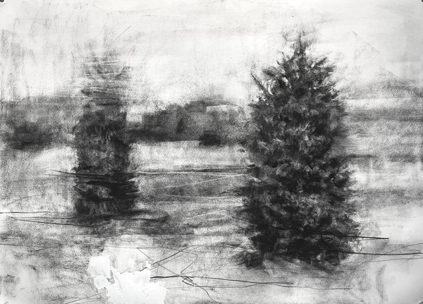 Peter Roux drawings charcoal on paper