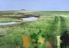 Carousel artwork image 1339