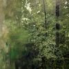 Carousel artwork image 1364