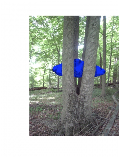 Captured Blue Drawing ideas for sculpture Colored Photo