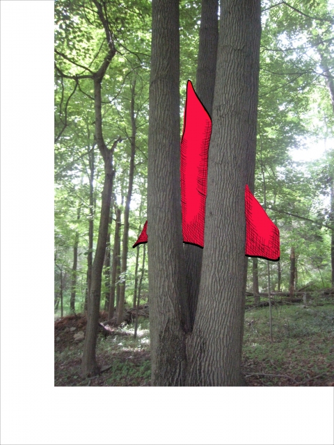Captured Red Triangle Drawing ideas for sculpture colored photo