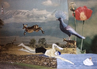 Petra Groen Collages Collage