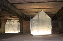 Petra Groen Sculpture/ installations Greenhouses and light
