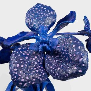 PHAAN HOWNG The Future of Orchids (sculptures), 2024 