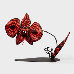 PHAAN HOWNG The Future of Orchids (sculptures), 2024 