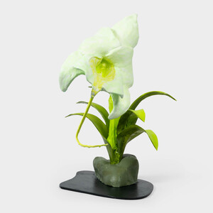 PHAAN HOWNG The Future of Orchids (sculptures), 2024 