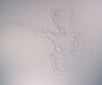 Phyllis Baldino Drawings in eleven dimensions mirrored mylar