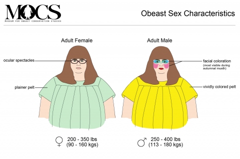 Detailed Obeast Sex Chart