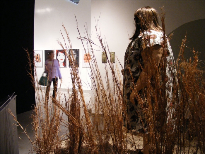 The Museum for Obeast Conservation Studies (installation view)
