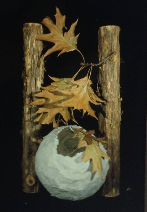 Randy Brozen      Artist and Educator Moss, nature, and hand-made paper artist-made abaca pape, leaves, big twigs