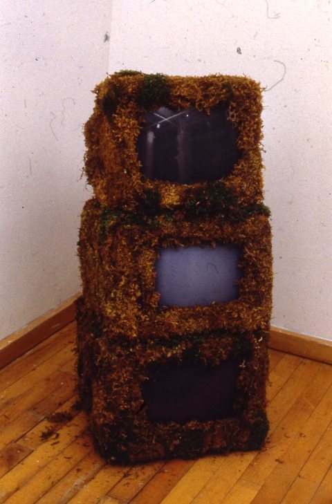 Randy Brozen      Artist and Educator Moss, nature, and hand-made paper monitors, moss