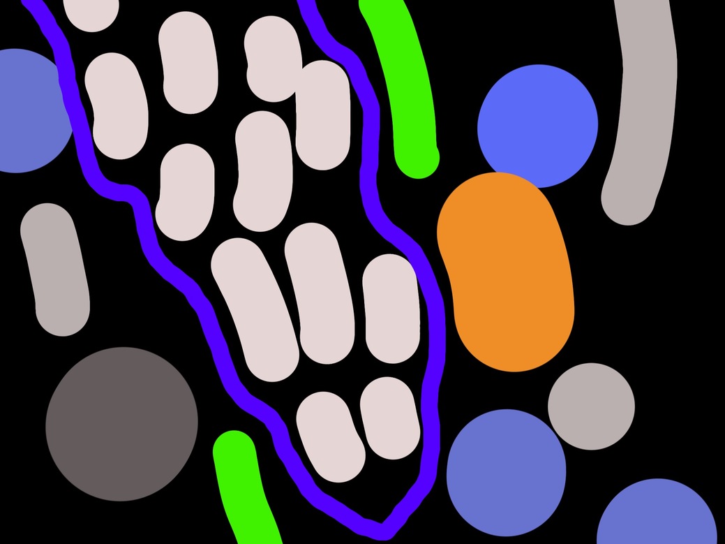 R A N D Y   T O Y Drawings digital drawing