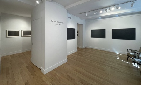 Installation View, Raquel Rabinovich: Avatars, at Hutchinson modern &amp; Contemporary, April 18th – June 15th, 2024
