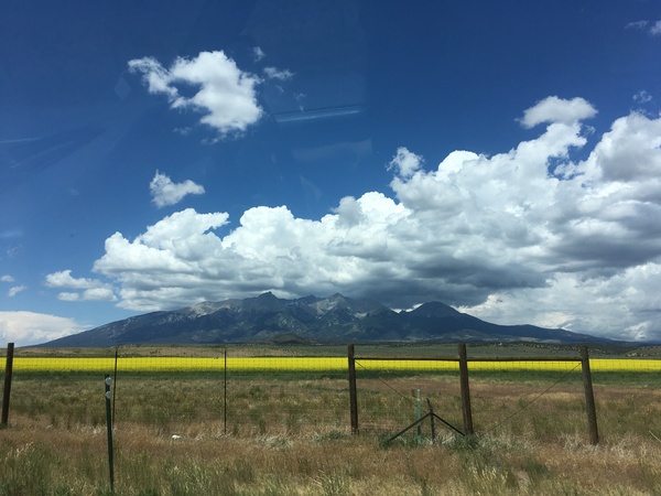 blanca peak with mustard field