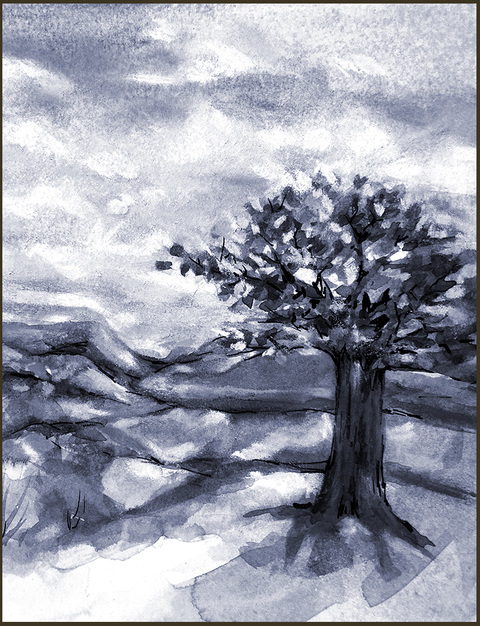 Rebecca J. Moran Illustrations Digital Watercolor