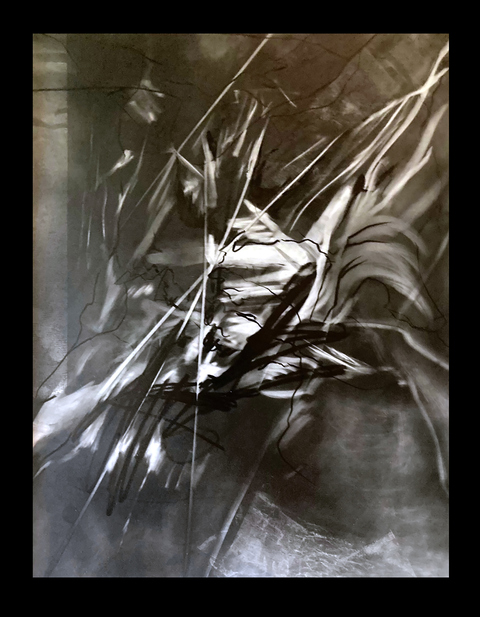 Rebecca J. Moran Graphite Graphite