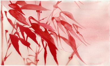 Rebecca Willhoft Photo/Watercolor Photo and Watercolor