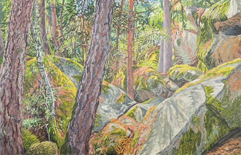 Reid Masselink Forests, fields, and ponds oil on canvas