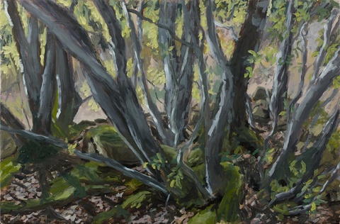 Reid Masselink Selected Sold Paintings oil on panel