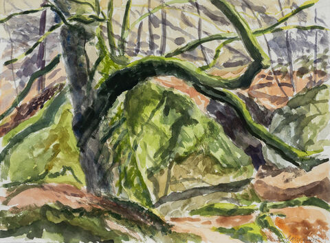 Reid Masselink Available Fontainebleau Watercolor