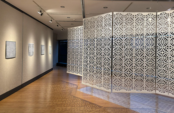 Reni Gower Burnell R. Roberts Triangle Gallery, Dayton, OH 