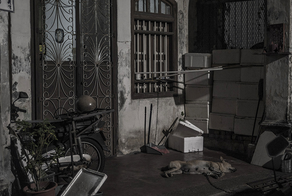 RICHARD MARK DOBSON Island Streets Midnight Shadows (Penang Noir) 
