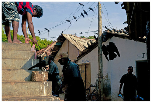 RICHARD MARK DOBSON | Photographer | Signature Series Sri Lanka 