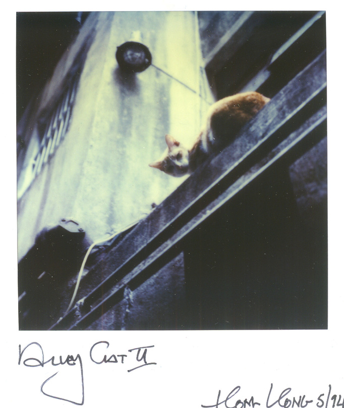 RICHARD MARK DOBSON 90's SX70's 