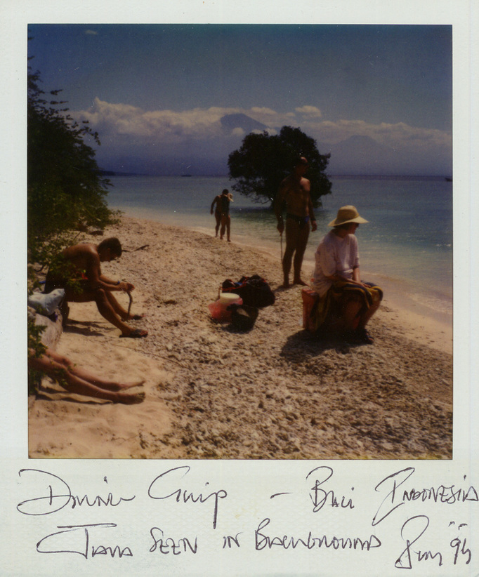 RICHARD MARK DOBSON 90's SX70's 