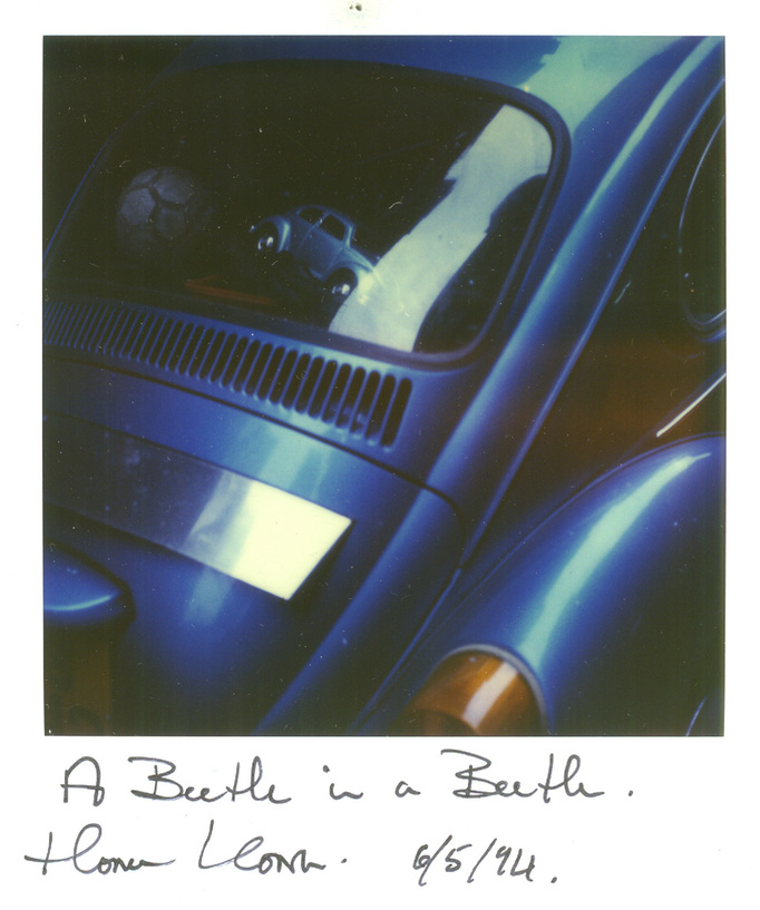 RICHARD MARK DOBSON 90's SX70's 