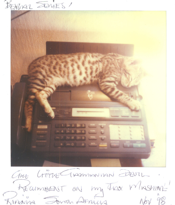 RICHARD MARK DOBSON 90's SX70's 
