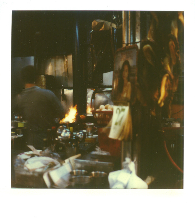 RICHARD MARK DOBSON 90's SX70's 