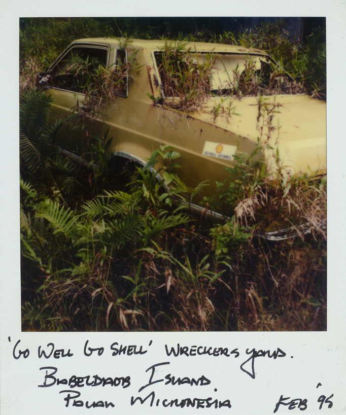 RICHARD MARK DOBSON 90's SX70's 