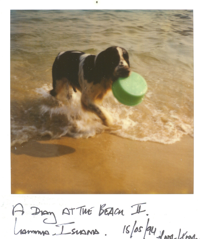 RICHARD MARK DOBSON 90's SX70's 
